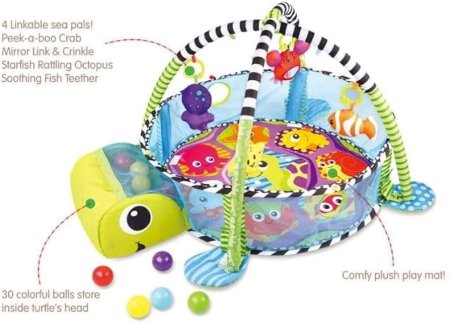 Activity Gym & Ball Pit
