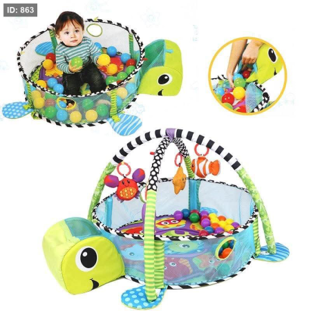 Activity gym and ball pit